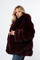 Cassiopea - Bordeaux